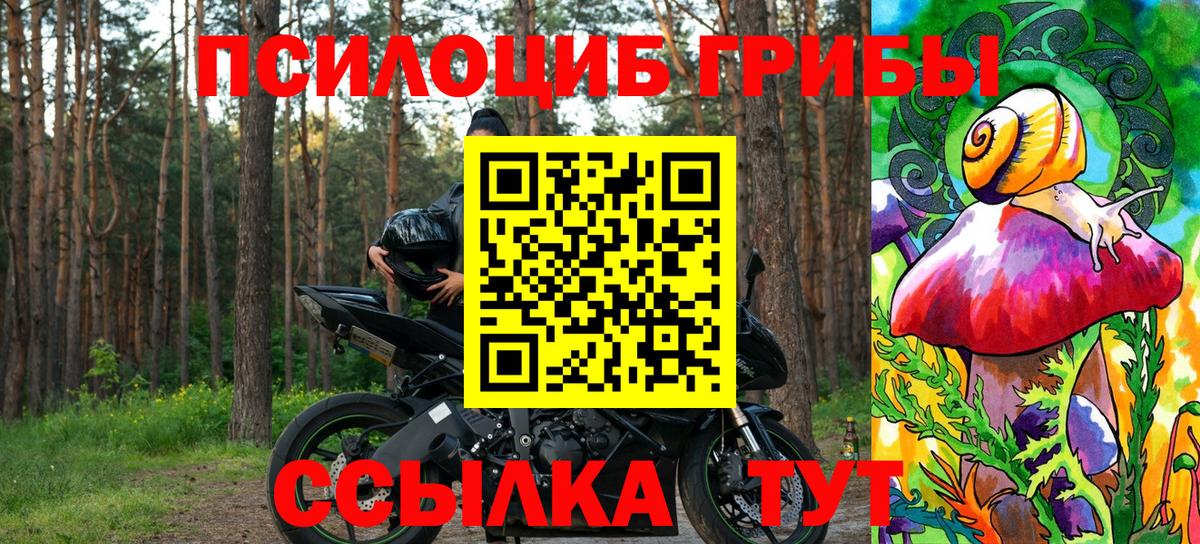 Псилоцибиновые грибы Magic Shrooms  Псилоцибиновые грибы мицелий  Вход с VPN  Нерюнгри 